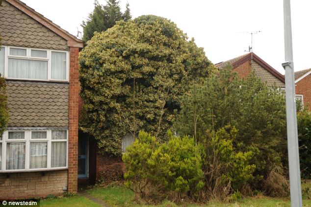  a pattern of leaves used as a decorative motif….Exp...The house was ornamented with fine foliage. 