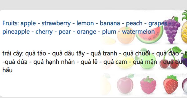 10. Nghe, đọc, viết tên các loại hoa quả, trái cây bằng tiếng Anh hiệu quả, các câu hội thoại minh họa (VN)
